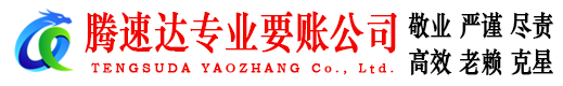 泰顺收债公司